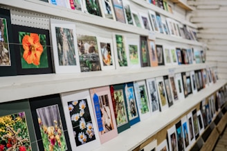 A collection of framed photographs displayed on shelves. The images include a variety of subjects like flowers, nature scenes, and animals. The arrangement is orderly, with photographs leaning against the wall.