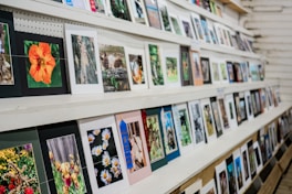 A collection of framed photographs showcasing rural scenery.