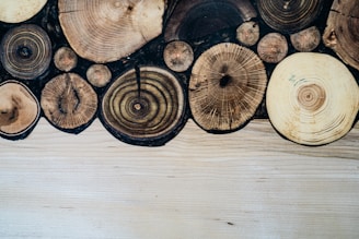 Various cut logs with visible rings and textures are arranged together, creating a pattern on a wooden surface.