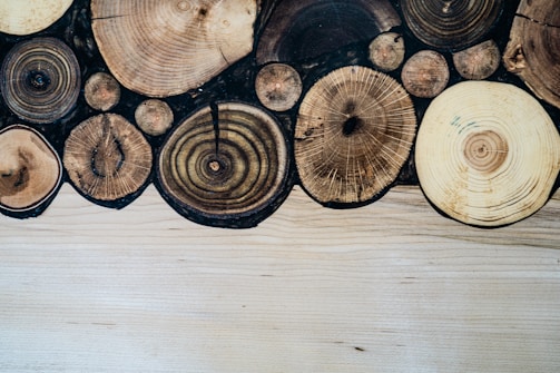Various cut logs with visible rings and textures are arranged together, creating a pattern on a wooden surface.