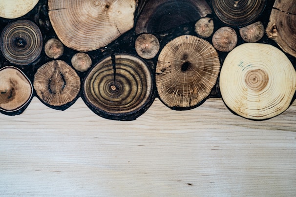 Various cut logs with visible rings and textures are arranged together, creating a pattern on a wooden surface.