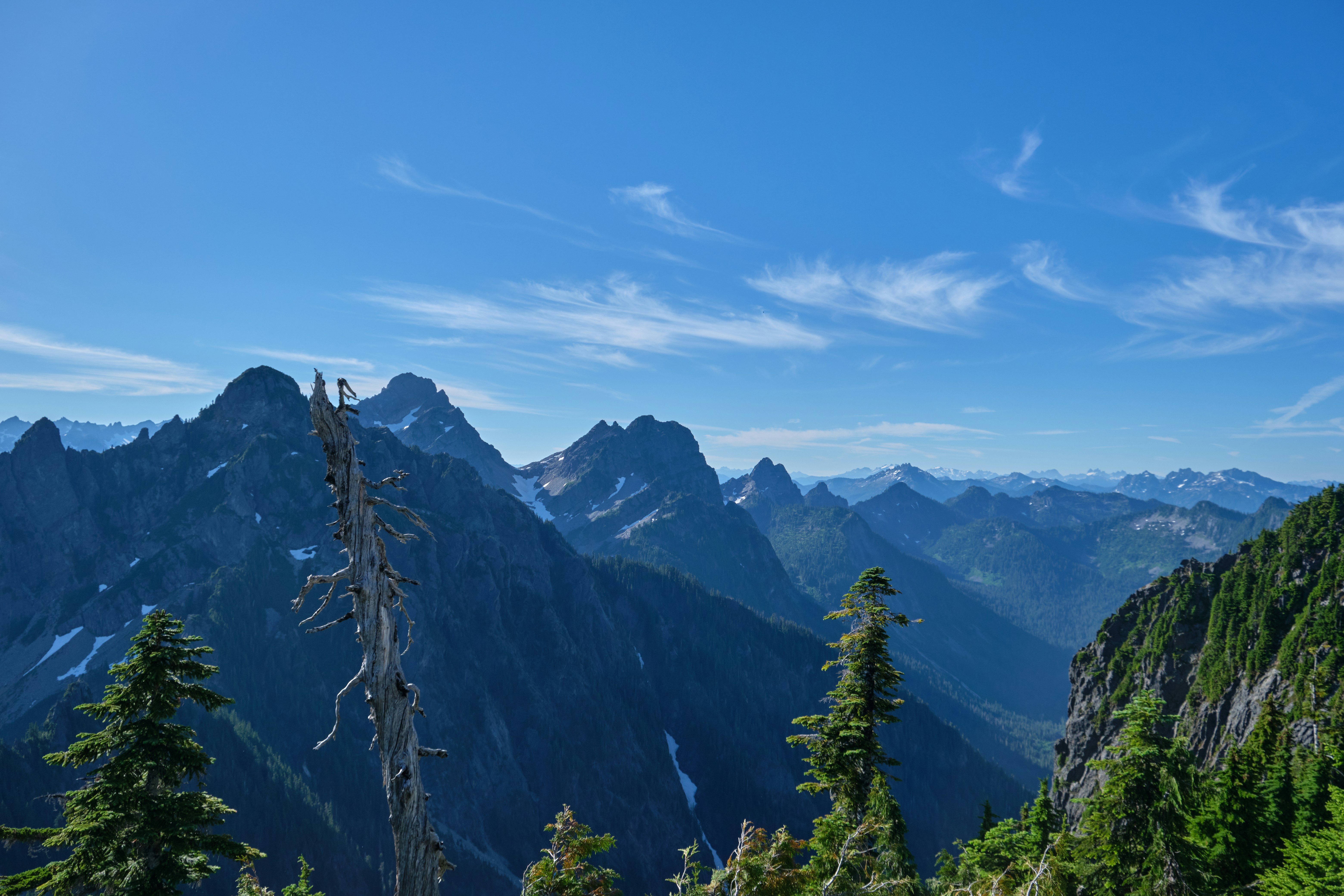 Photo by toastbusters