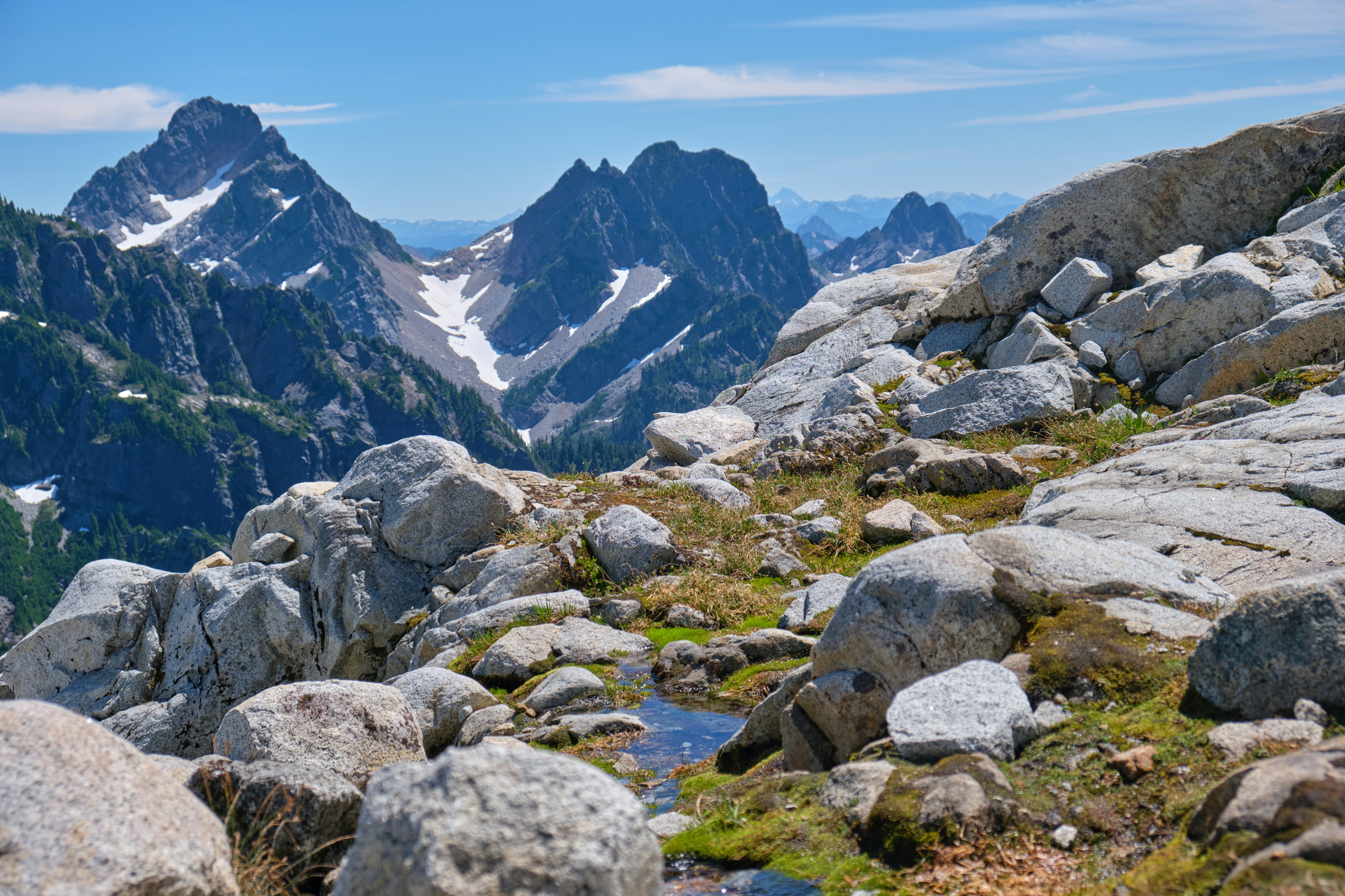 Photo by toastbusters