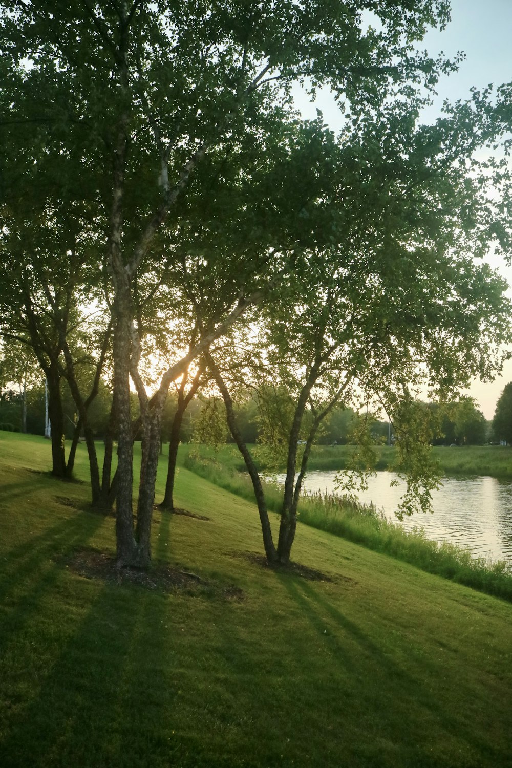 the sun is shining through the trees by the water