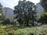 A well-maintained park area featuring lush greenery and a tall tree. A totem pole stands prominently among the plants and trees. People are walking along a path, visible in the background. The scene includes large buildings with a cityscape backdrop, creating a blend of nature and urban environment.