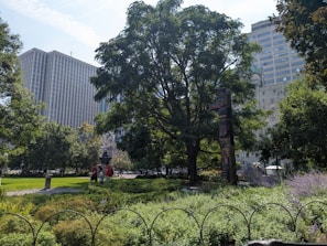 A well-maintained park area featuring lush greenery and a tall tree. A totem pole stands prominently among the plants and trees. People are walking along a path, visible in the background. The scene includes large buildings with a cityscape backdrop, creating a blend of nature and urban environment.