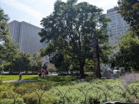 A well-maintained park area featuring lush greenery and a tall tree. A totem pole stands prominently among the plants and trees. People are walking along a path, visible in the background. The scene includes large buildings with a cityscape backdrop, creating a blend of nature and urban environment.