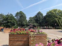 Community volunteers planting flowers in a sunny Elkhorn park on a bright afternoon.