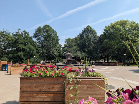 Community members planting colorful flowers and young trees in a sunny neighborhood park.