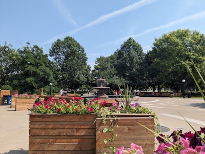Community volunteers planting flowers in a sunny Elkhorn park on a bright afternoon.