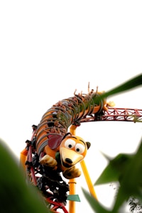 Theme Park Tickets