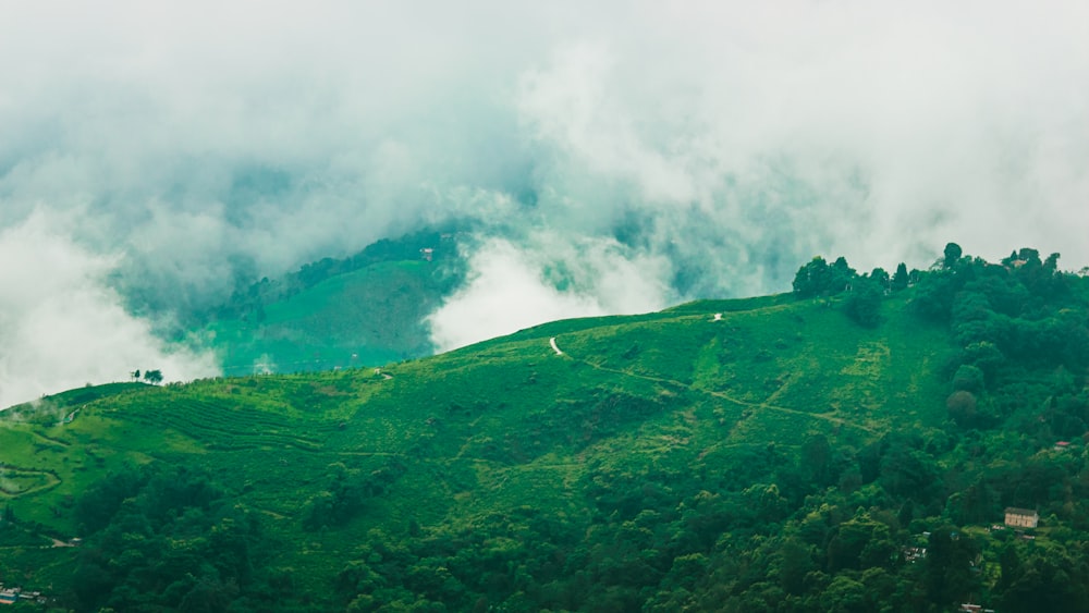 a lush green hillside covered in clouds and trees