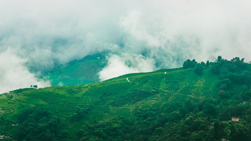 una lussureggiante collina verde coperta di nuvole e alberi