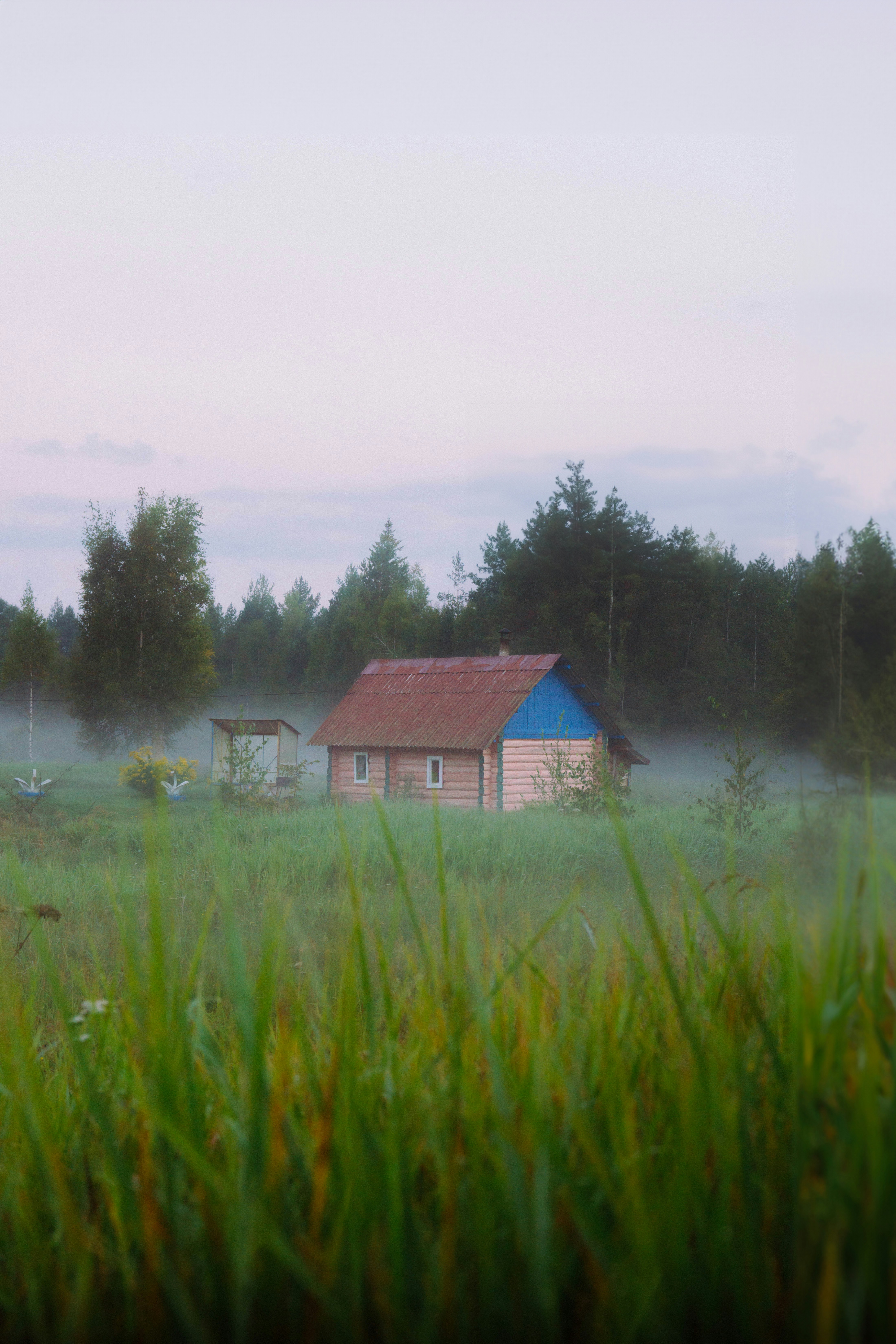 Photo by abalashevsky