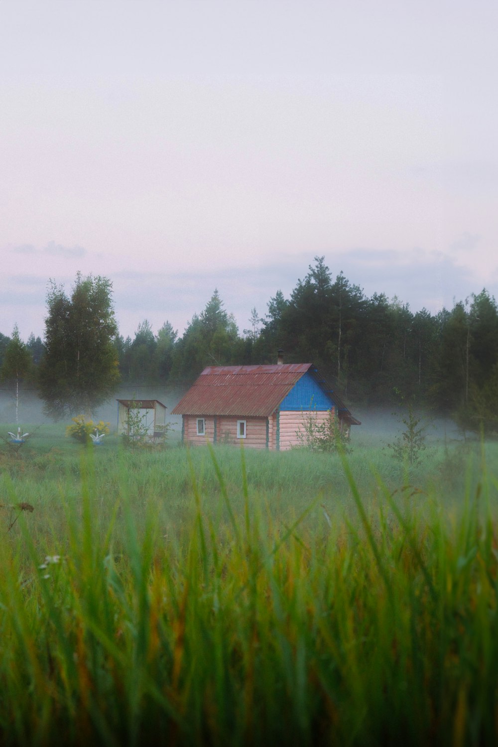 a house in the middle of a foggy field