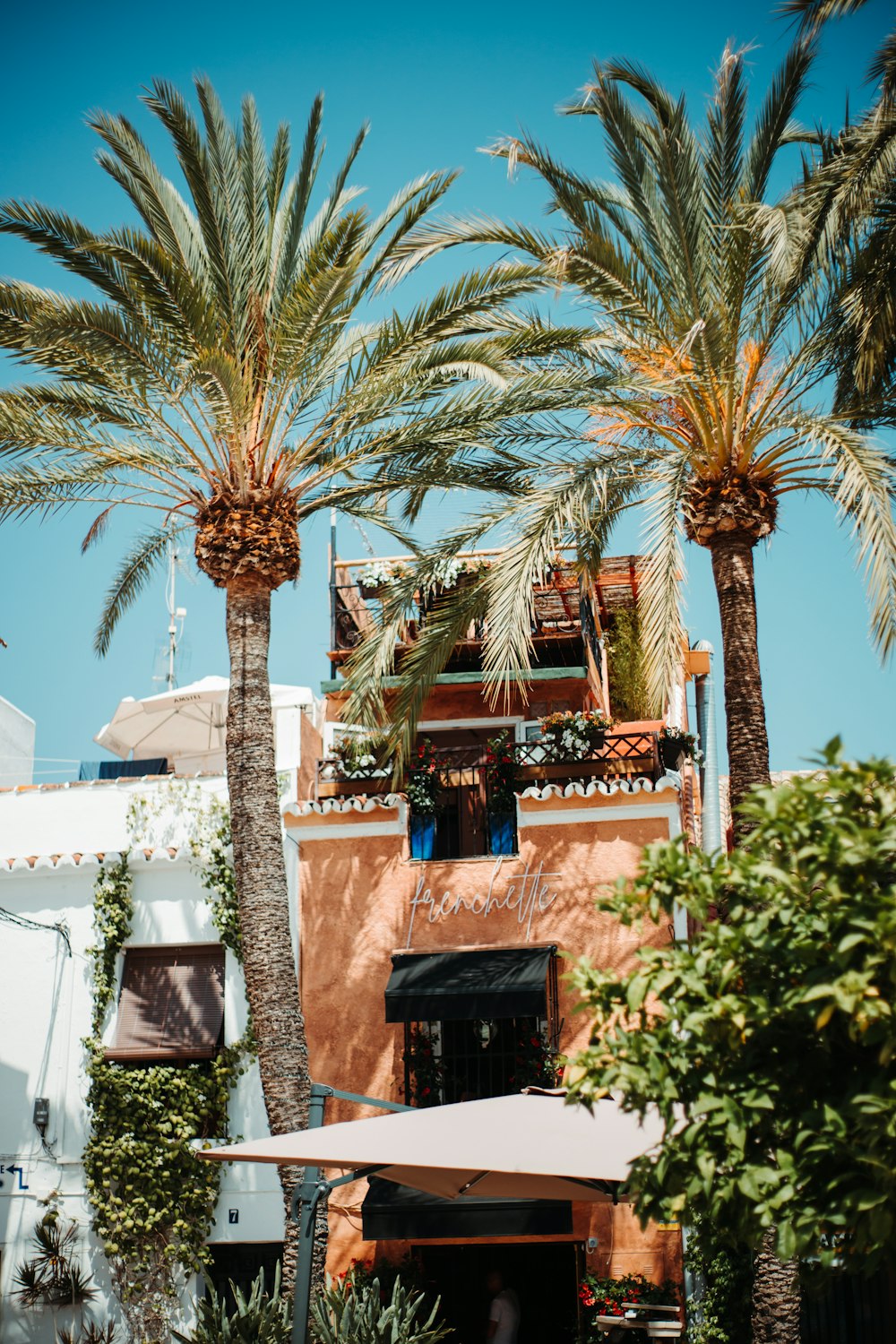 a couple of palm trees in front of a building