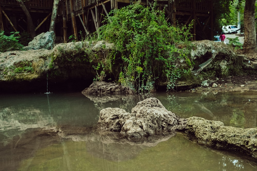 Una gran roca sentada en medio de un cuerpo de agua