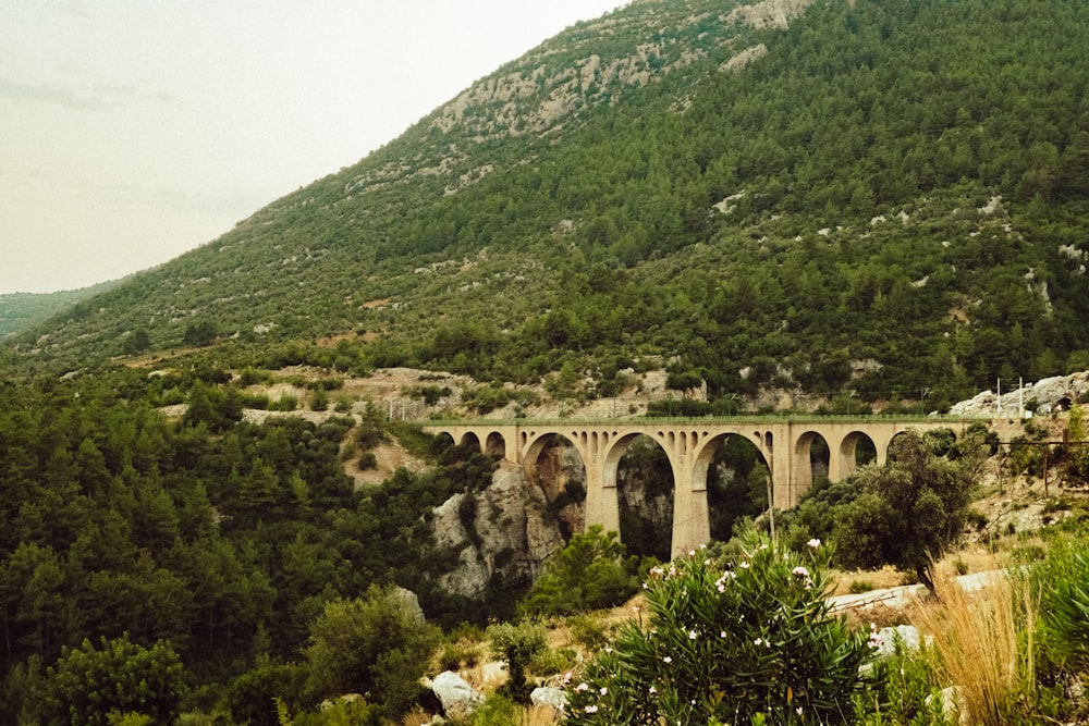 a train traveling over a bridge surrounded by mountains