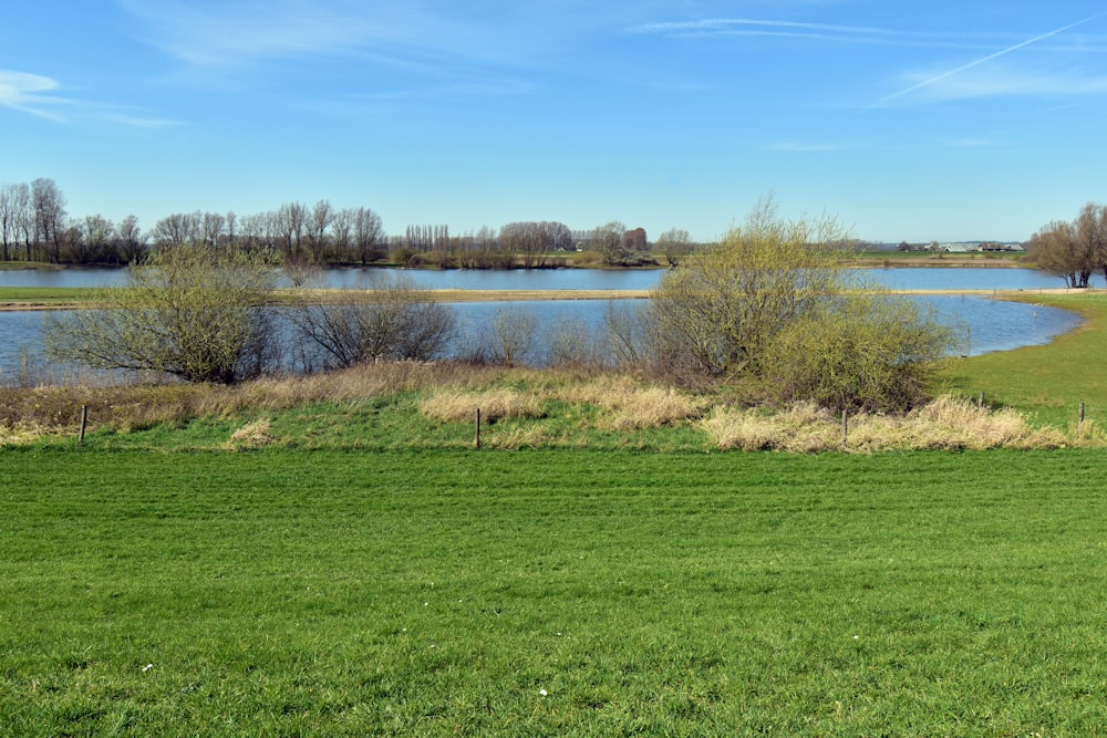 a grassy field next to a body of water