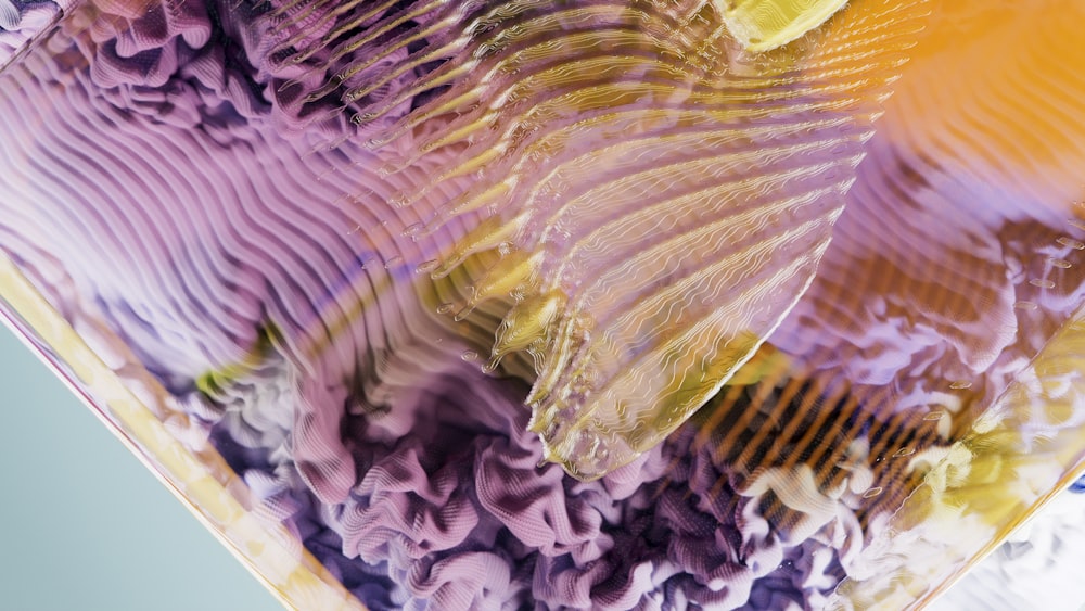 a close up of a glass plate with flowers on it