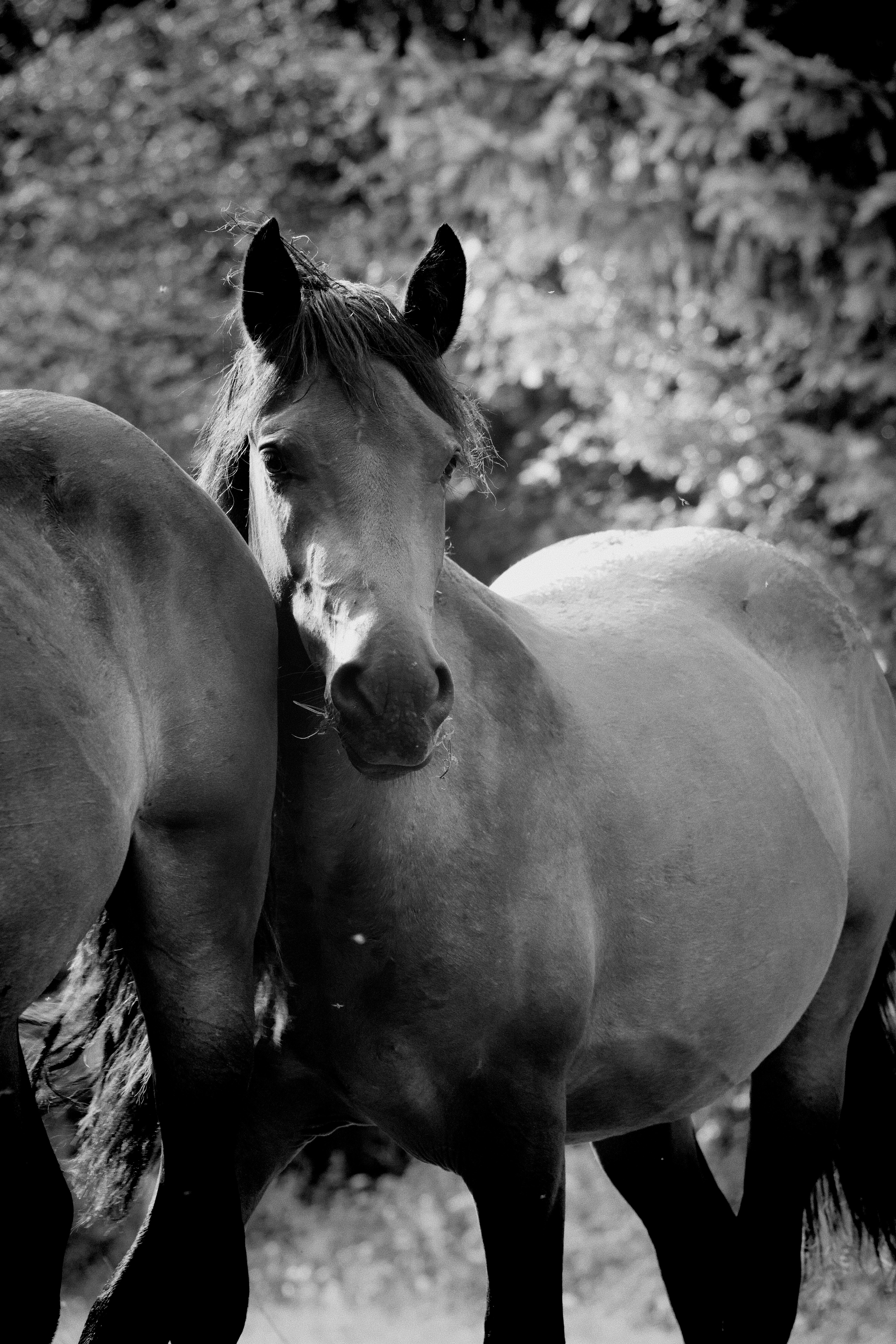 Photo by miguelalcantara