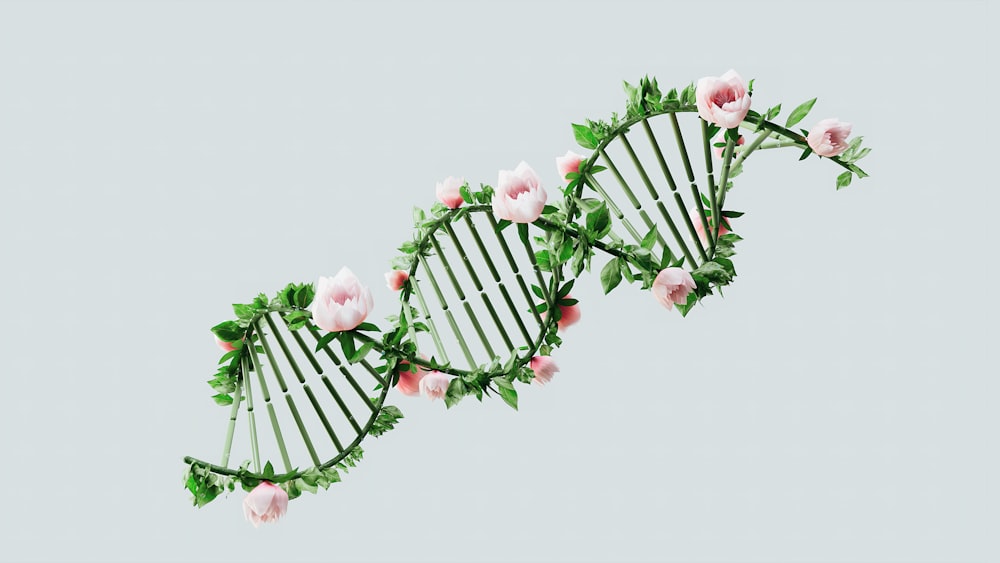 a close up of a plant with pink flowers