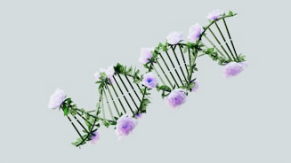 a bunch of flowers that are in the air