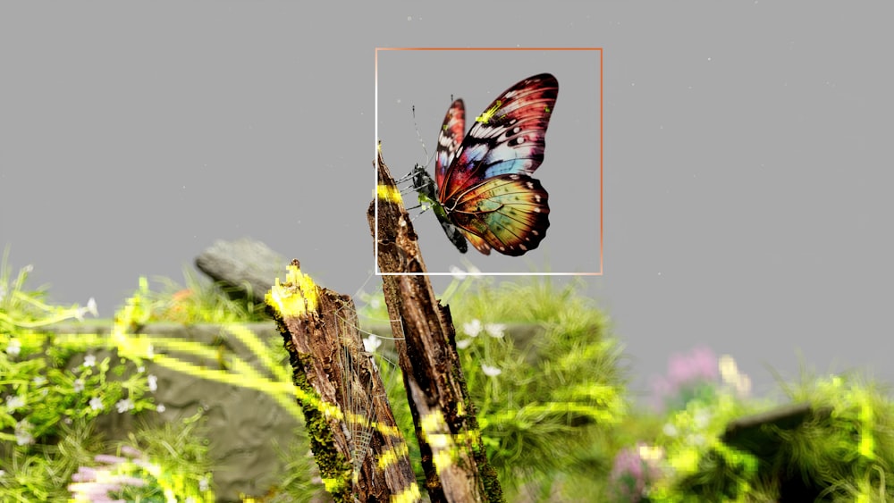 a colorful butterfly flying over a tree stump