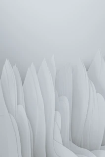 Abstract portrait blending surrealism and minimalism, hinting at historical migration themes