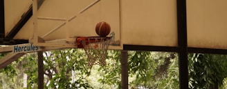 A slow-motion capture of the ball passing through the middle hoop worth 50 points.