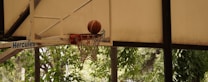 A basketball is captured mid-motion as it passes through a basketball hoop. The surrounding background features lush green foliage visible through a partially open structure.