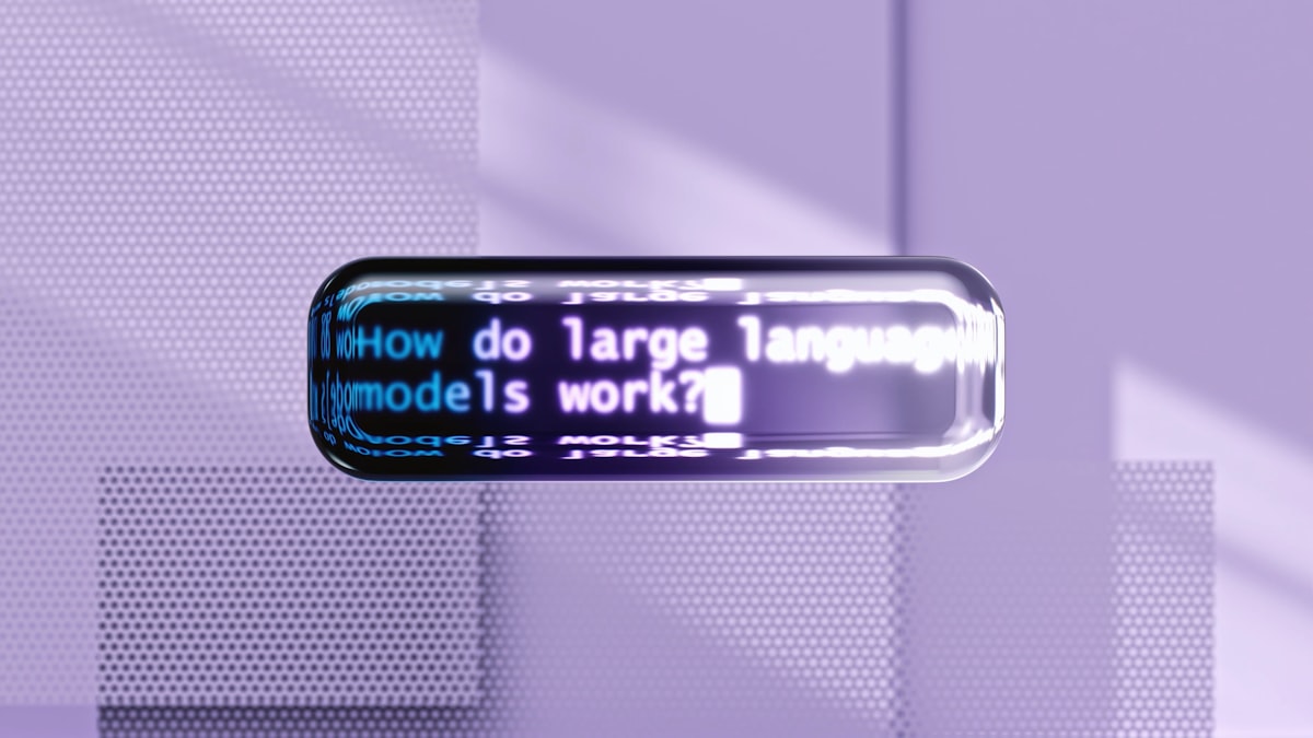 Imagen de portada de DPO para Tono de Marca en E-commerce de Moda en Bogotá