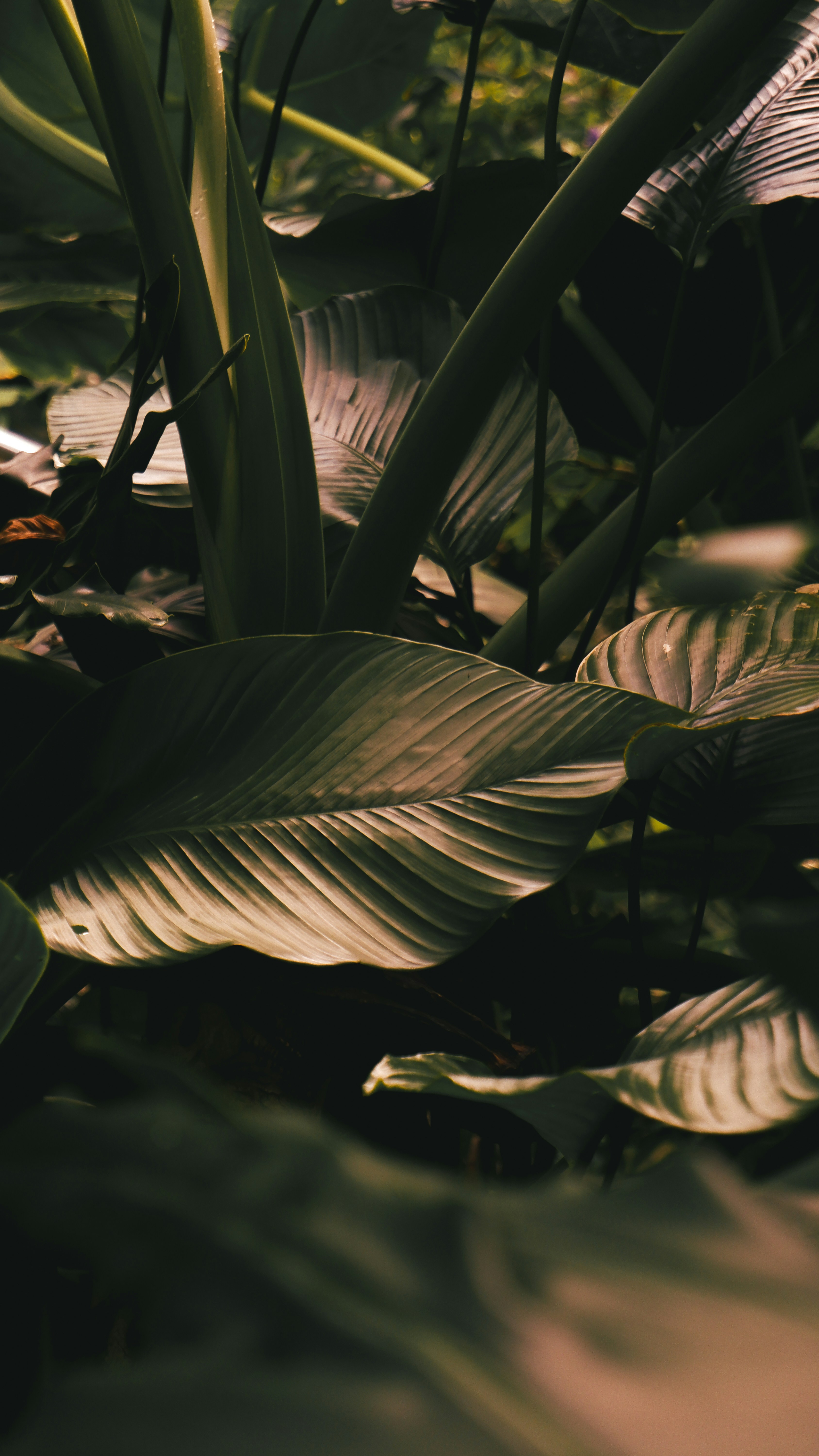 Photo by charliejones04