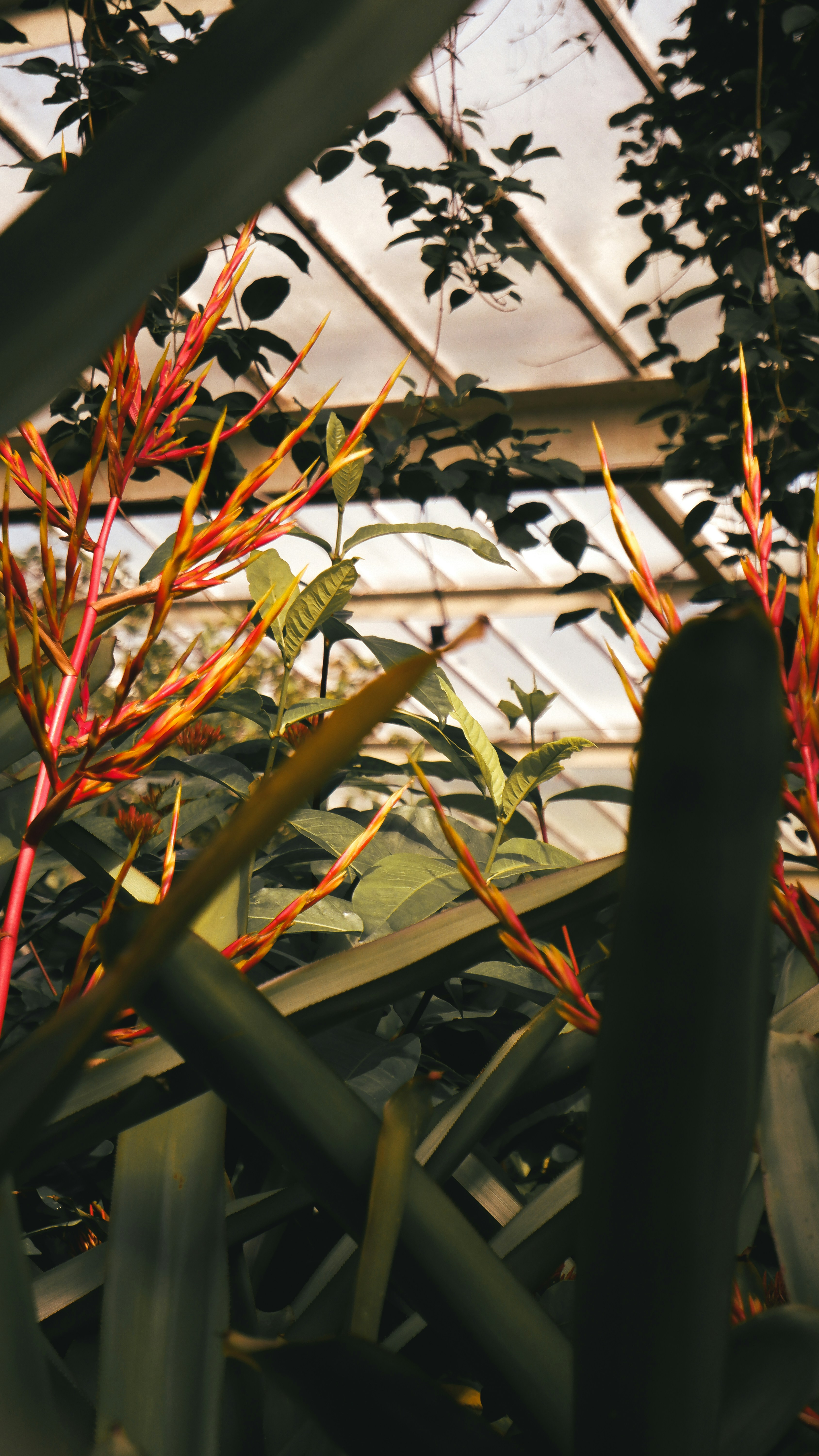 Photo by charliejones04