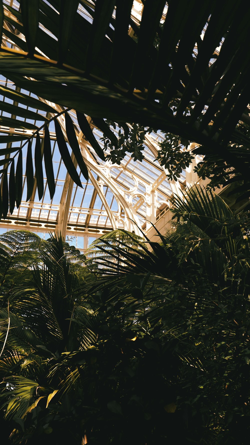 a view of a building through the leaves of a tree