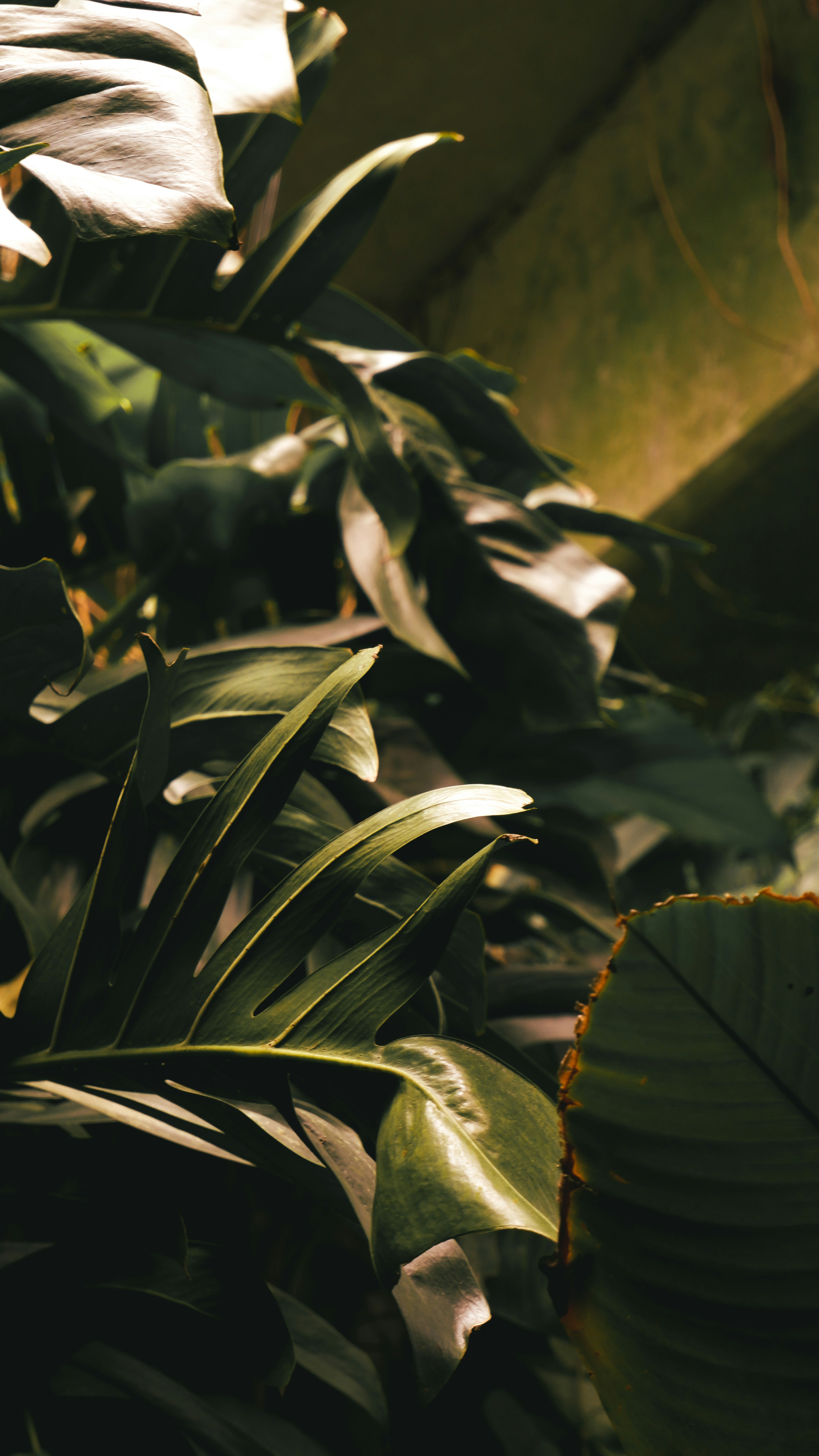 Photo by charliejones04