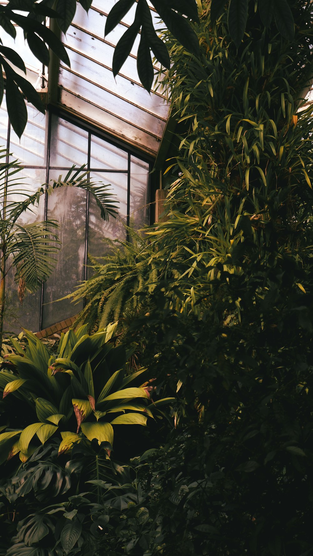 a house with a lot of plants in front of it