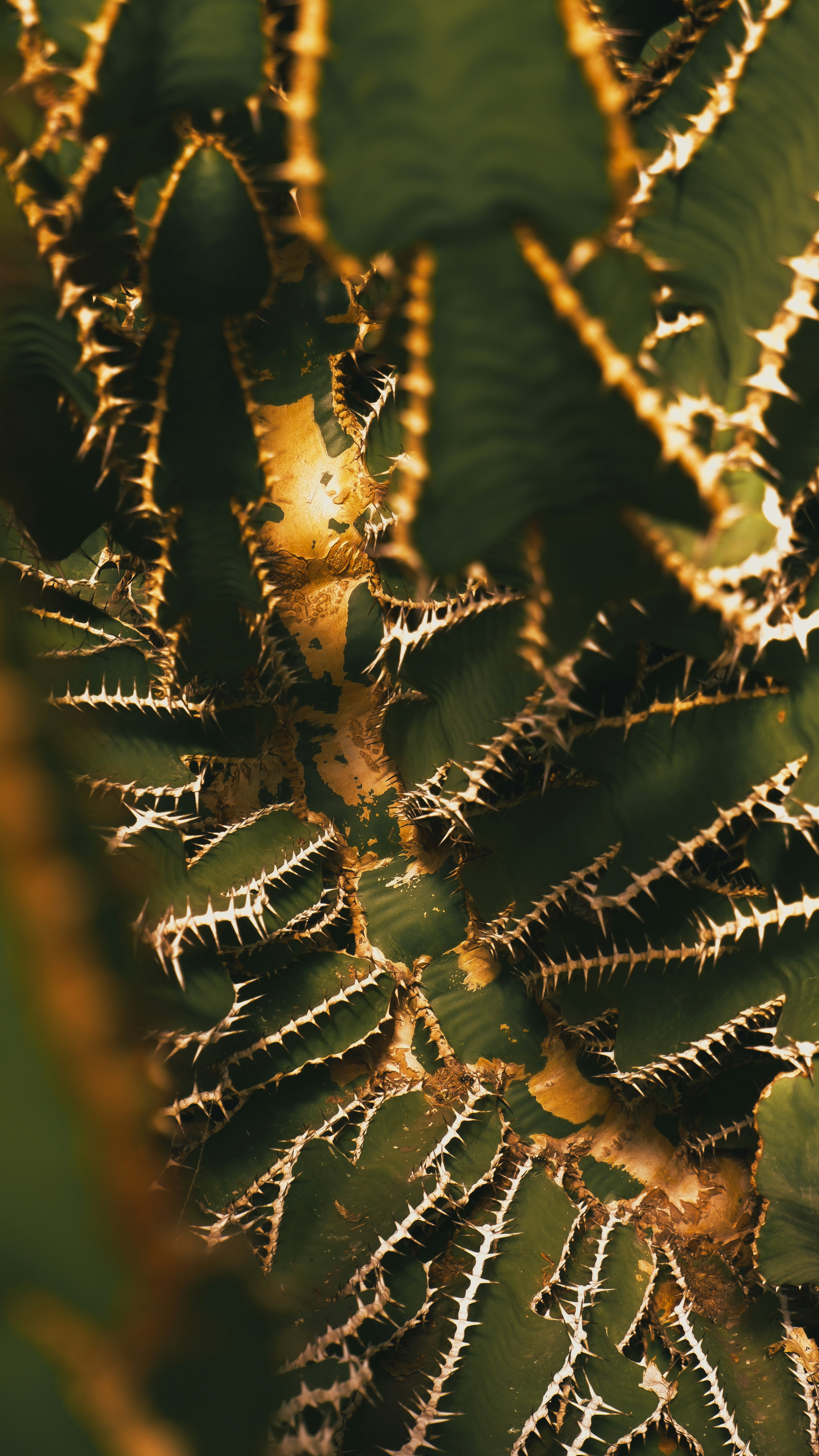 Photo by charliejones04