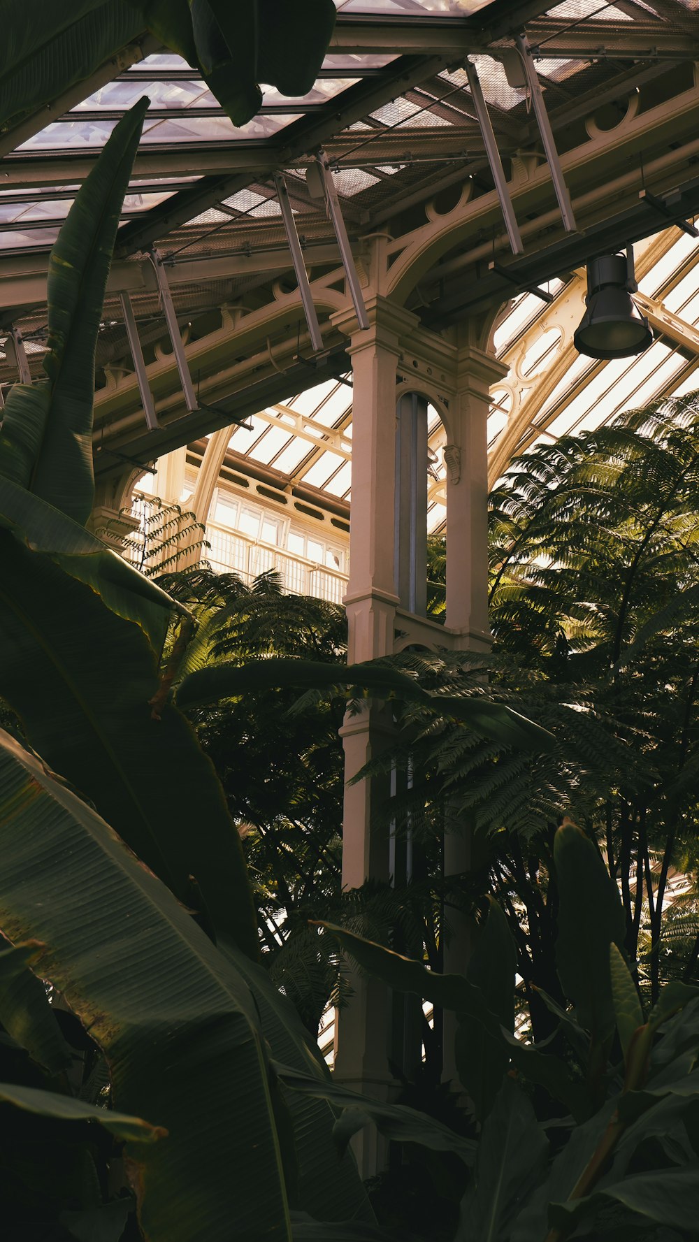 a building with a bunch of plants inside of it