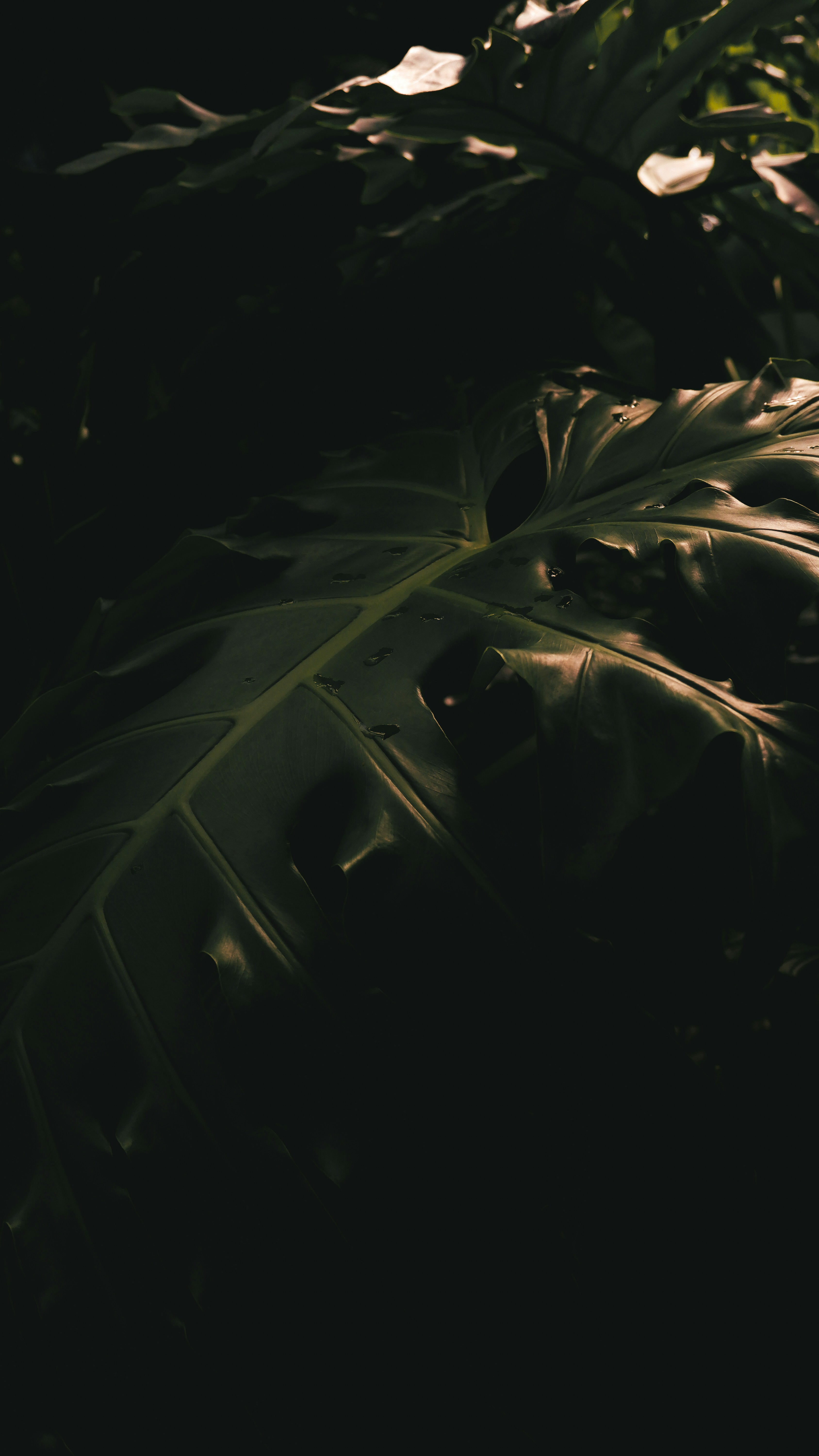 Photo by charliejones04