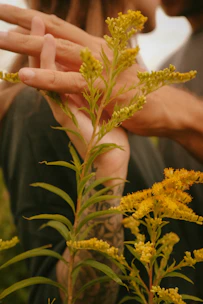 Close-up of intertwined hands holding delicate wildflower bouquets.