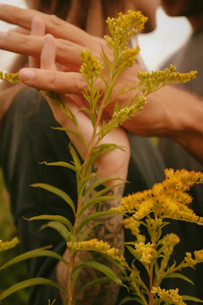 Close-up of intertwined hands resting on a moss-covered rock, surrounded by delicate forest blooms.