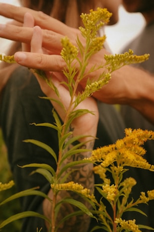 Close-up of intertwined hands with a soft-focus background of blooming flowers.