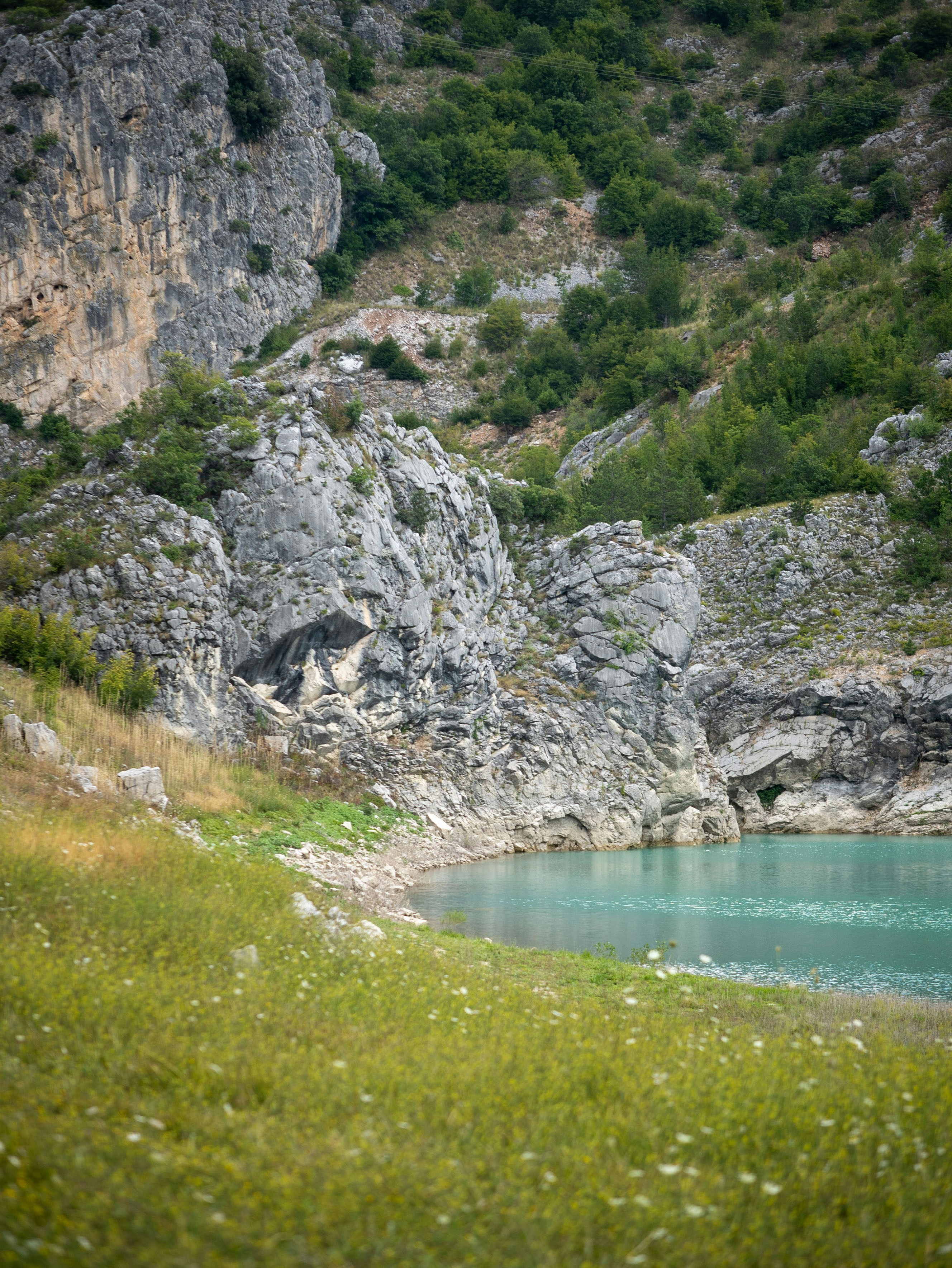 Photo by goosebumpsteam