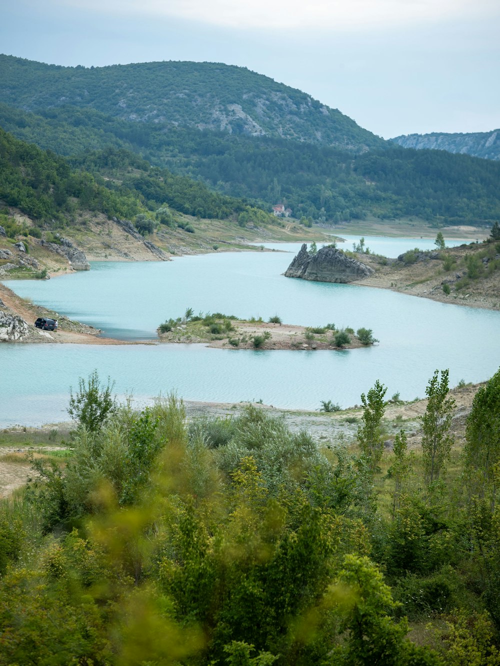 a large body of water surrounded by trees