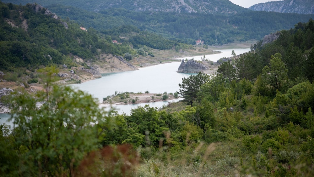 a large body of water surrounded by trees