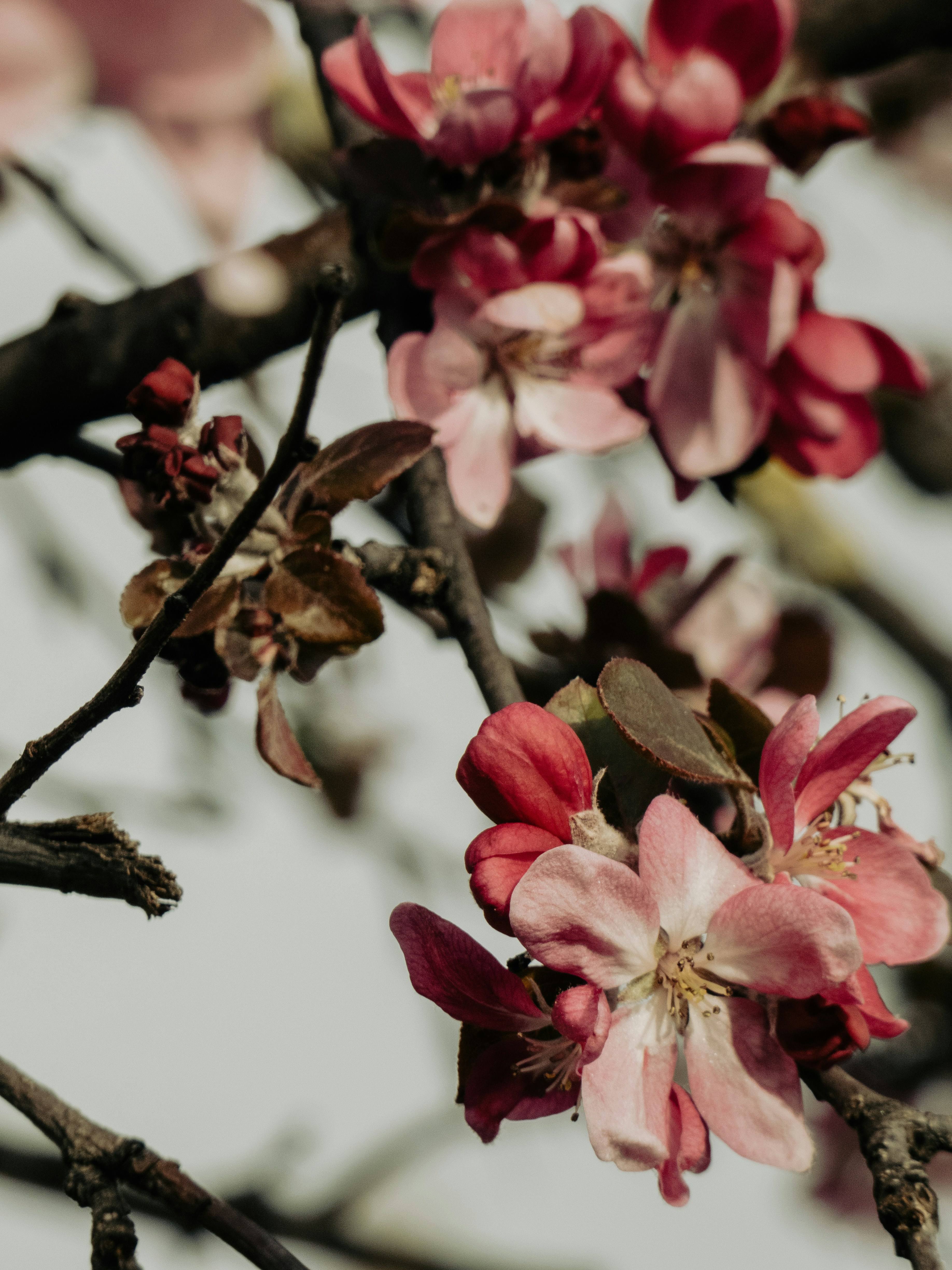 Photo by justmeandcamera