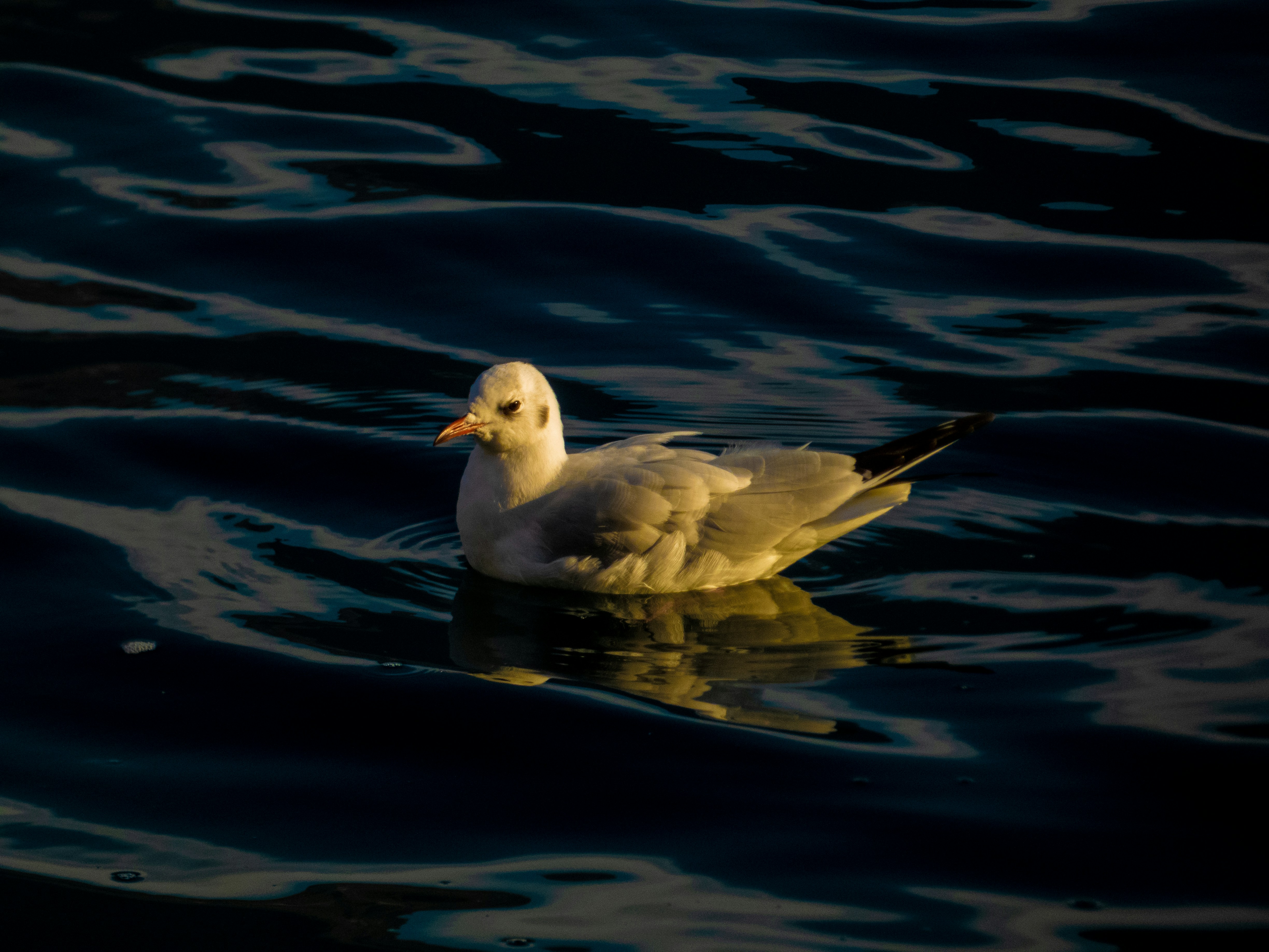 Photo by justmeandcamera