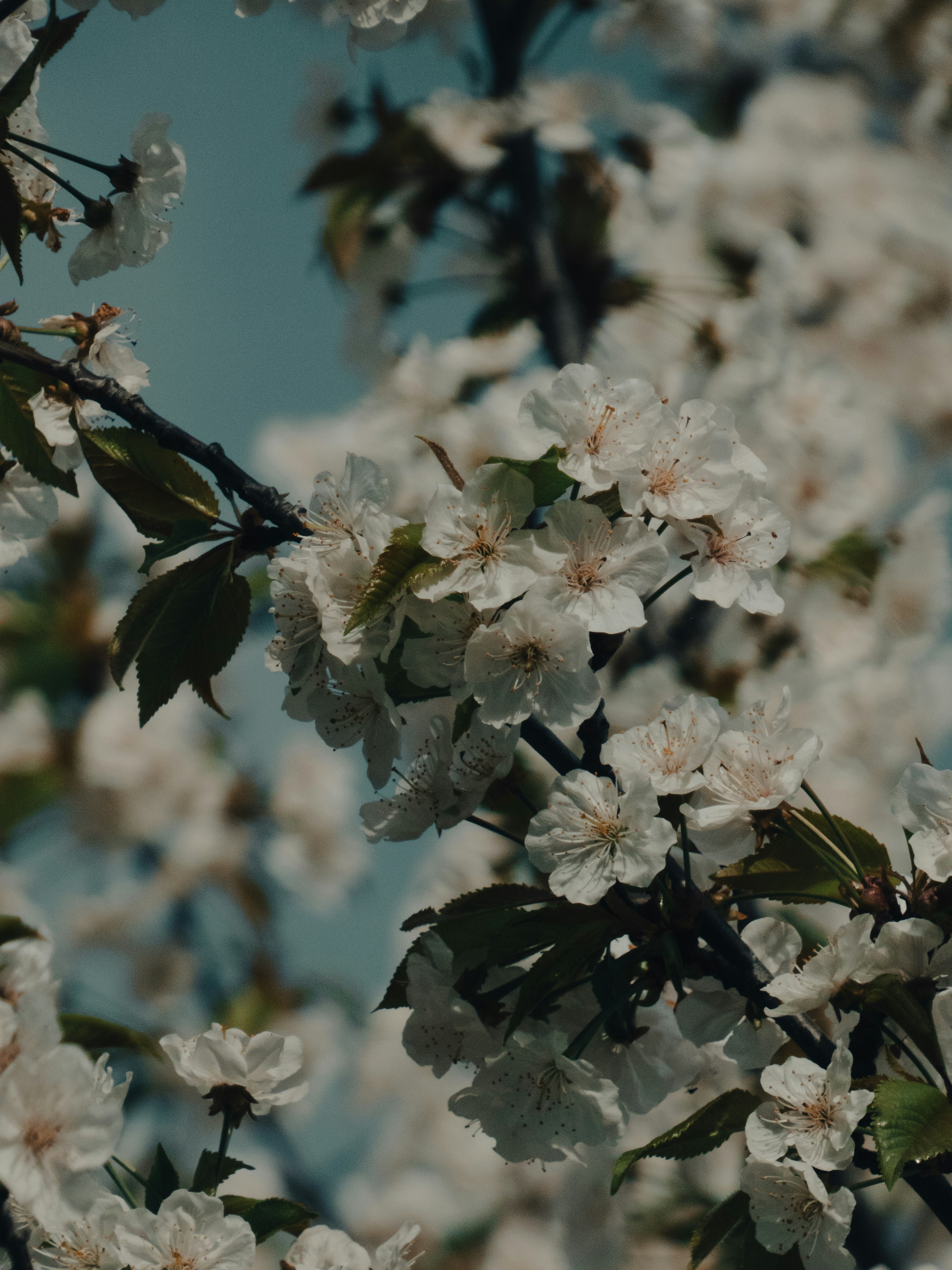 Photo by justmeandcamera