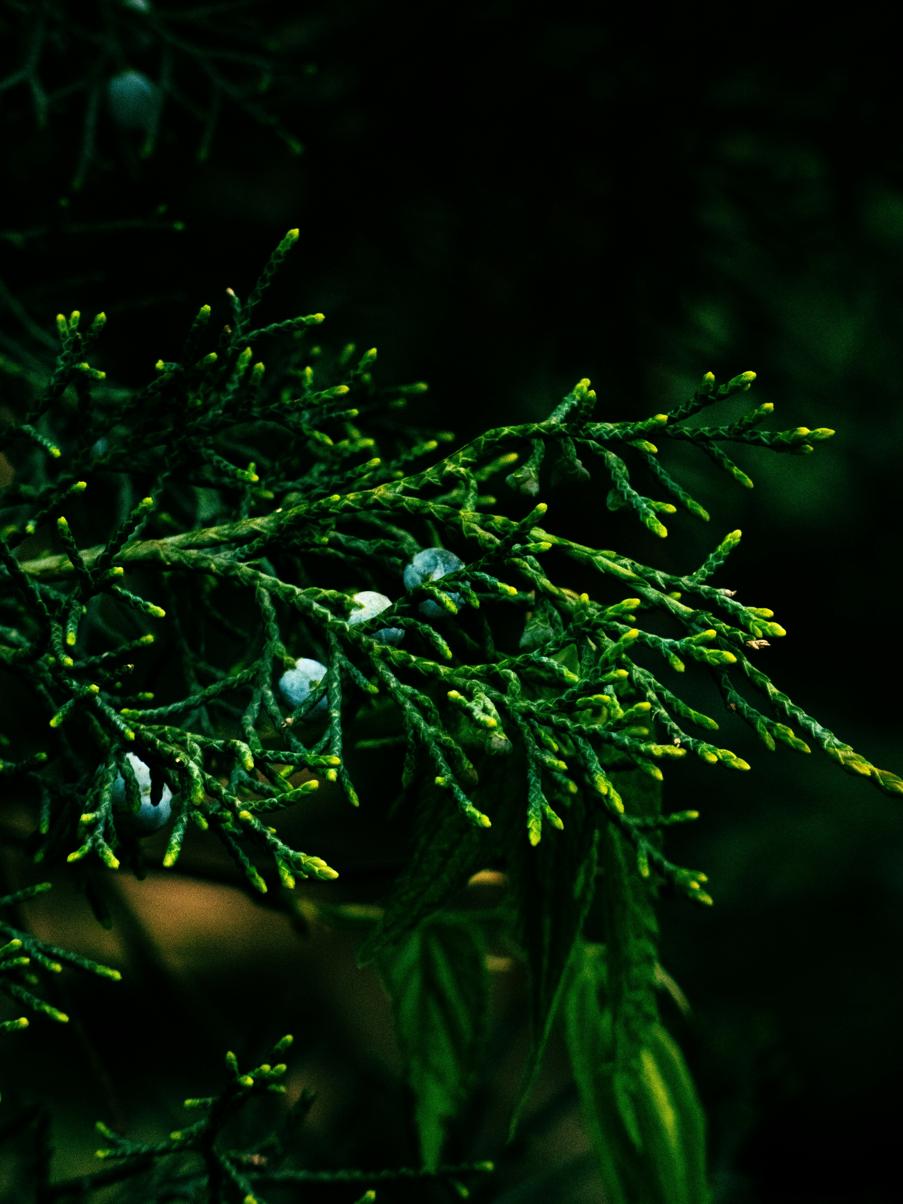 Photo by justmeandcamera